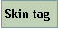 Text Box: Skin tag